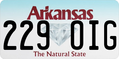 AR license plate 229OIG