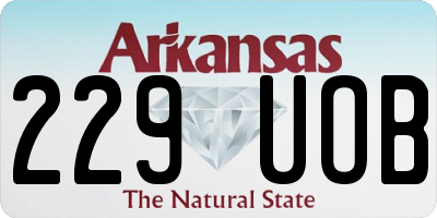 AR license plate 229UOB
