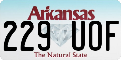 AR license plate 229UOF