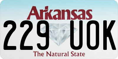 AR license plate 229UOK