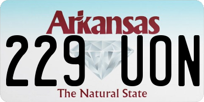 AR license plate 229UON