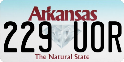 AR license plate 229UOR
