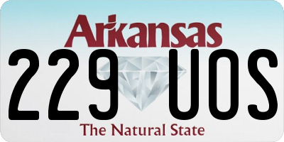 AR license plate 229UOS