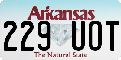 AR license plate 229UOT