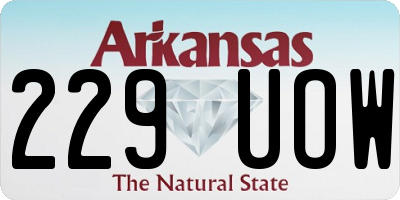 AR license plate 229UOW