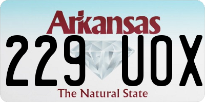 AR license plate 229UOX