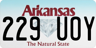 AR license plate 229UOY