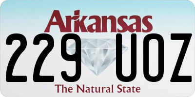 AR license plate 229UOZ