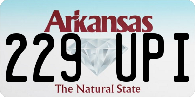 AR license plate 229UPI