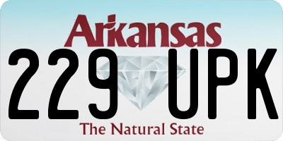 AR license plate 229UPK