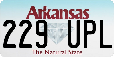 AR license plate 229UPL
