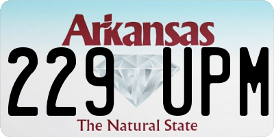 AR license plate 229UPM