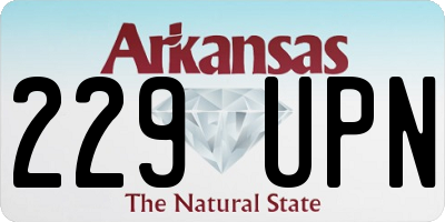 AR license plate 229UPN