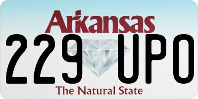 AR license plate 229UPO