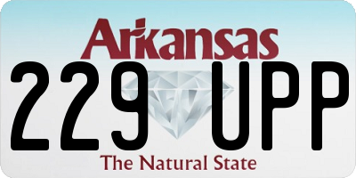 AR license plate 229UPP