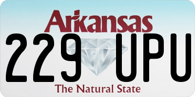 AR license plate 229UPU