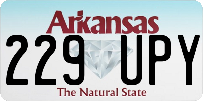 AR license plate 229UPY