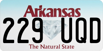 AR license plate 229UQD