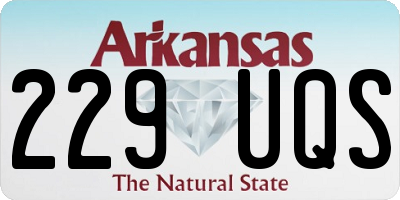 AR license plate 229UQS