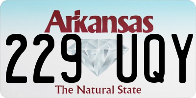AR license plate 229UQY