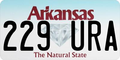 AR license plate 229URA