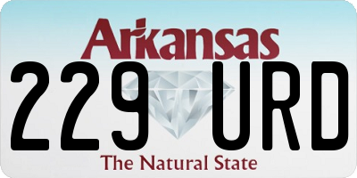 AR license plate 229URD