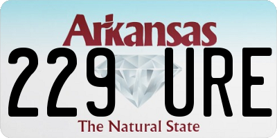 AR license plate 229URE