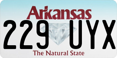 AR license plate 229UYX