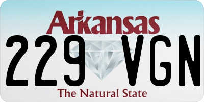 AR license plate 229VGN