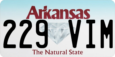AR license plate 229VIM