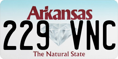 AR license plate 229VNC