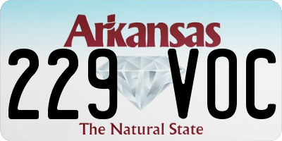 AR license plate 229VOC
