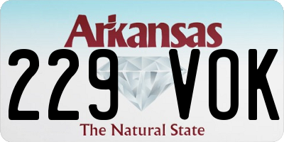 AR license plate 229VOK