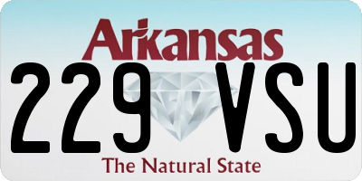 AR license plate 229VSU