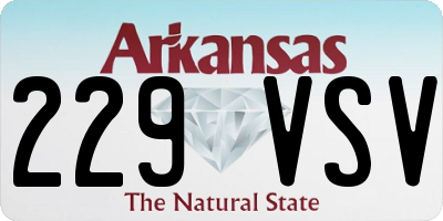 AR license plate 229VSV
