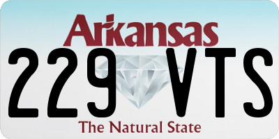 AR license plate 229VTS