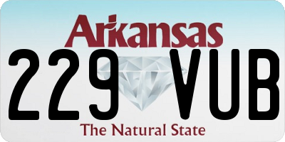 AR license plate 229VUB