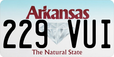 AR license plate 229VUI