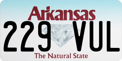 AR license plate 229VUL