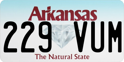 AR license plate 229VUM