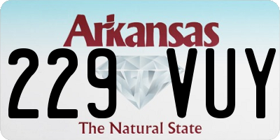 AR license plate 229VUY