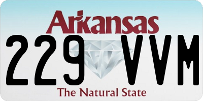 AR license plate 229VVM