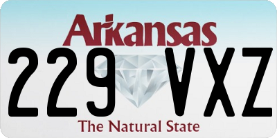 AR license plate 229VXZ