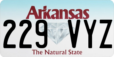 AR license plate 229VYZ