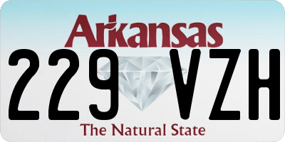 AR license plate 229VZH