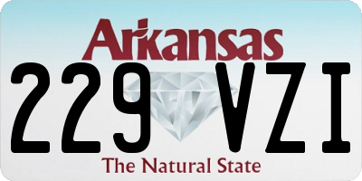 AR license plate 229VZI