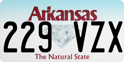 AR license plate 229VZX