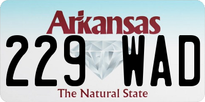 AR license plate 229WAD