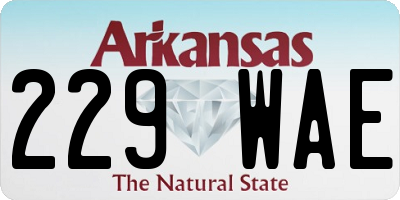 AR license plate 229WAE
