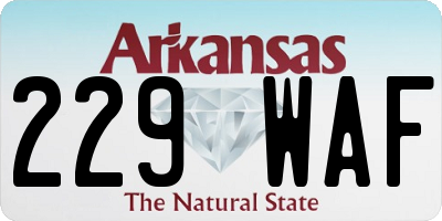 AR license plate 229WAF